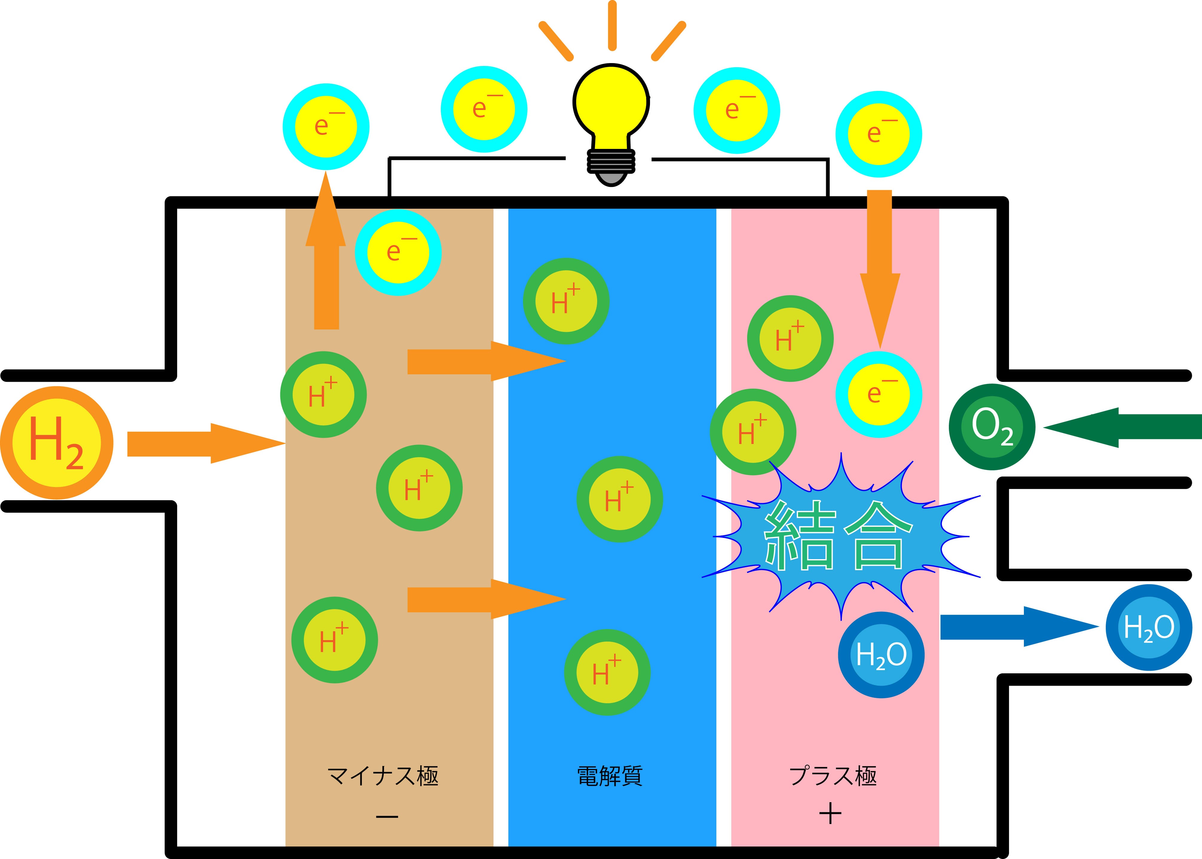 燃料電池