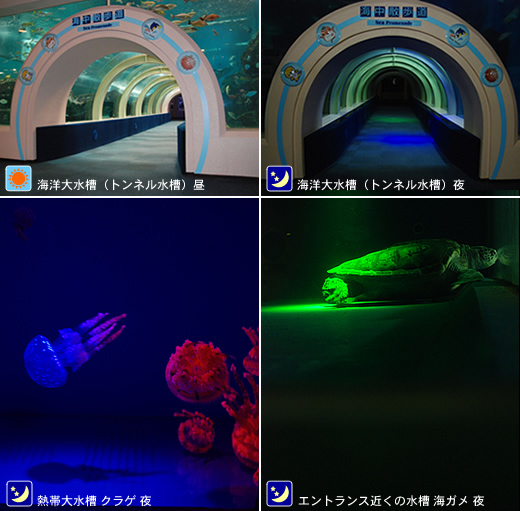 浅虫水族館